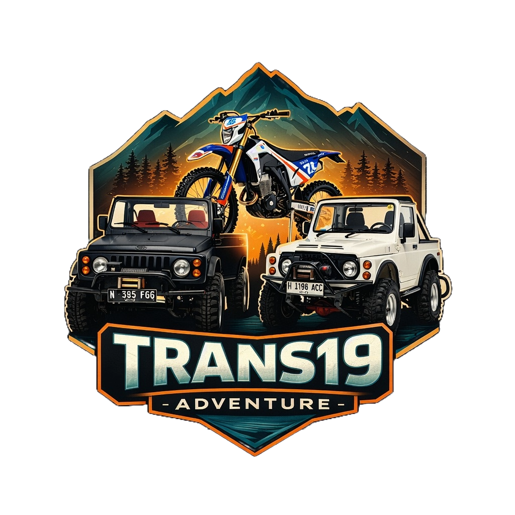 Trans19 Logo