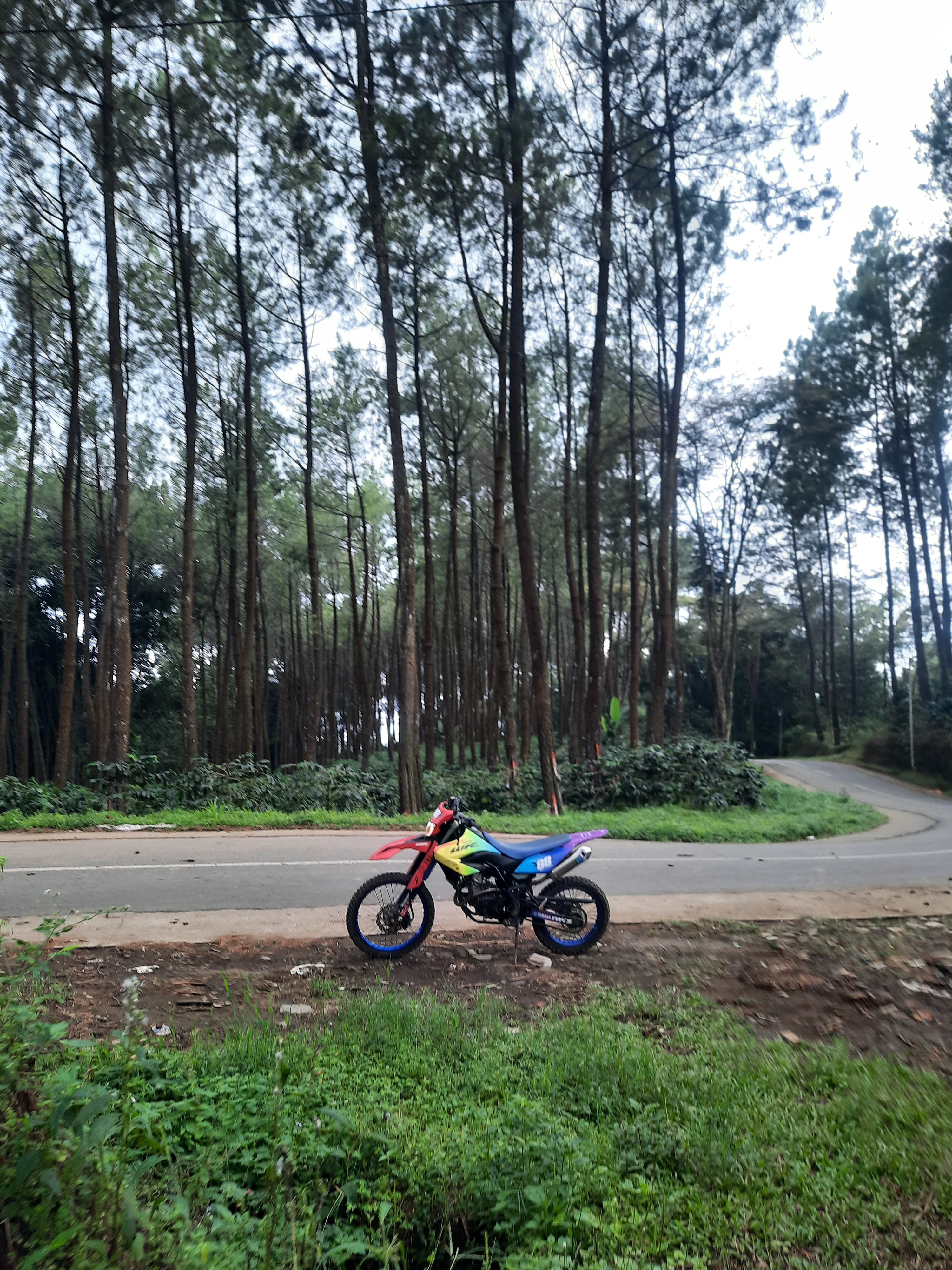 Yamaha WR