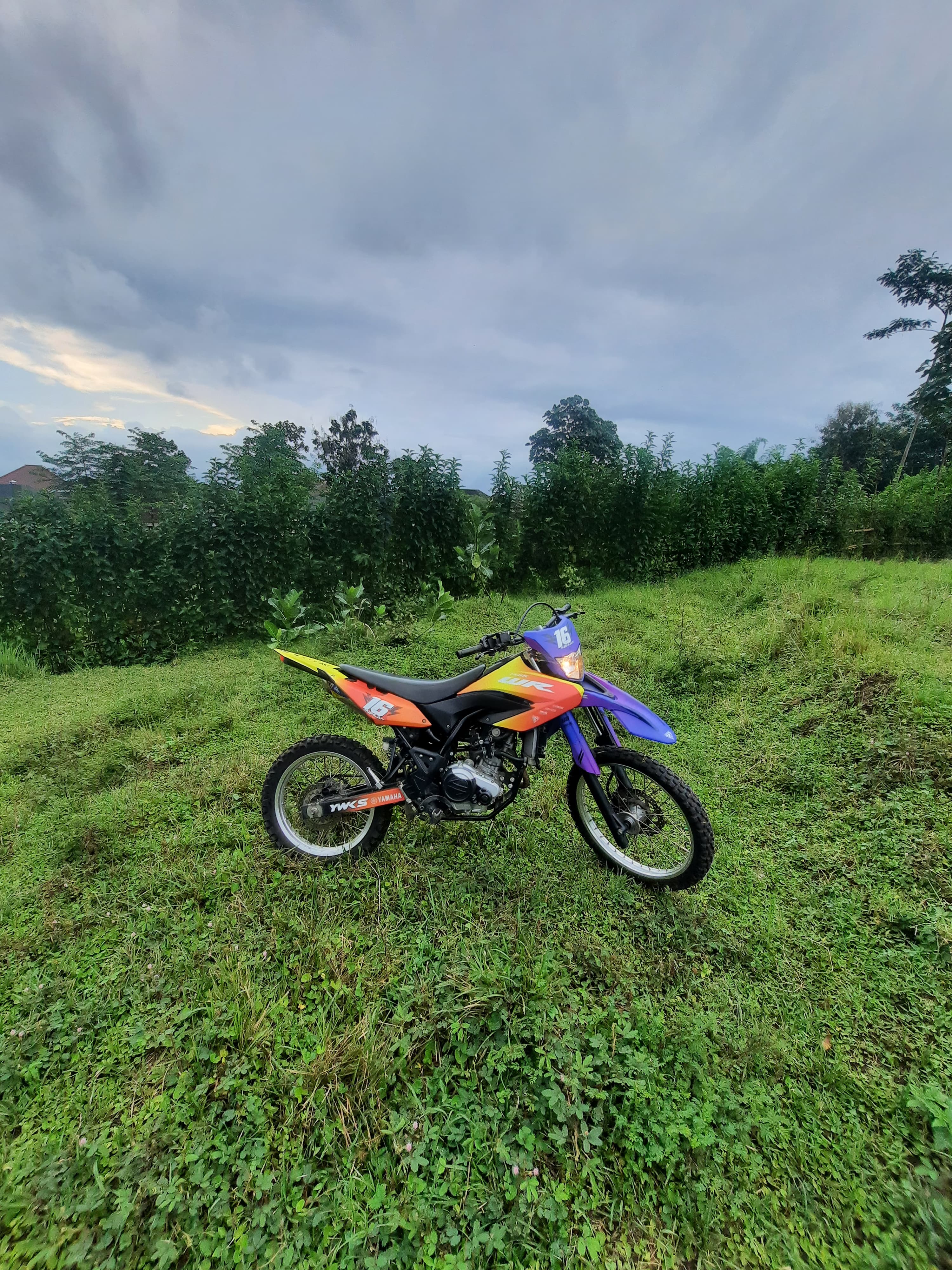 Yamaha WR 155 R